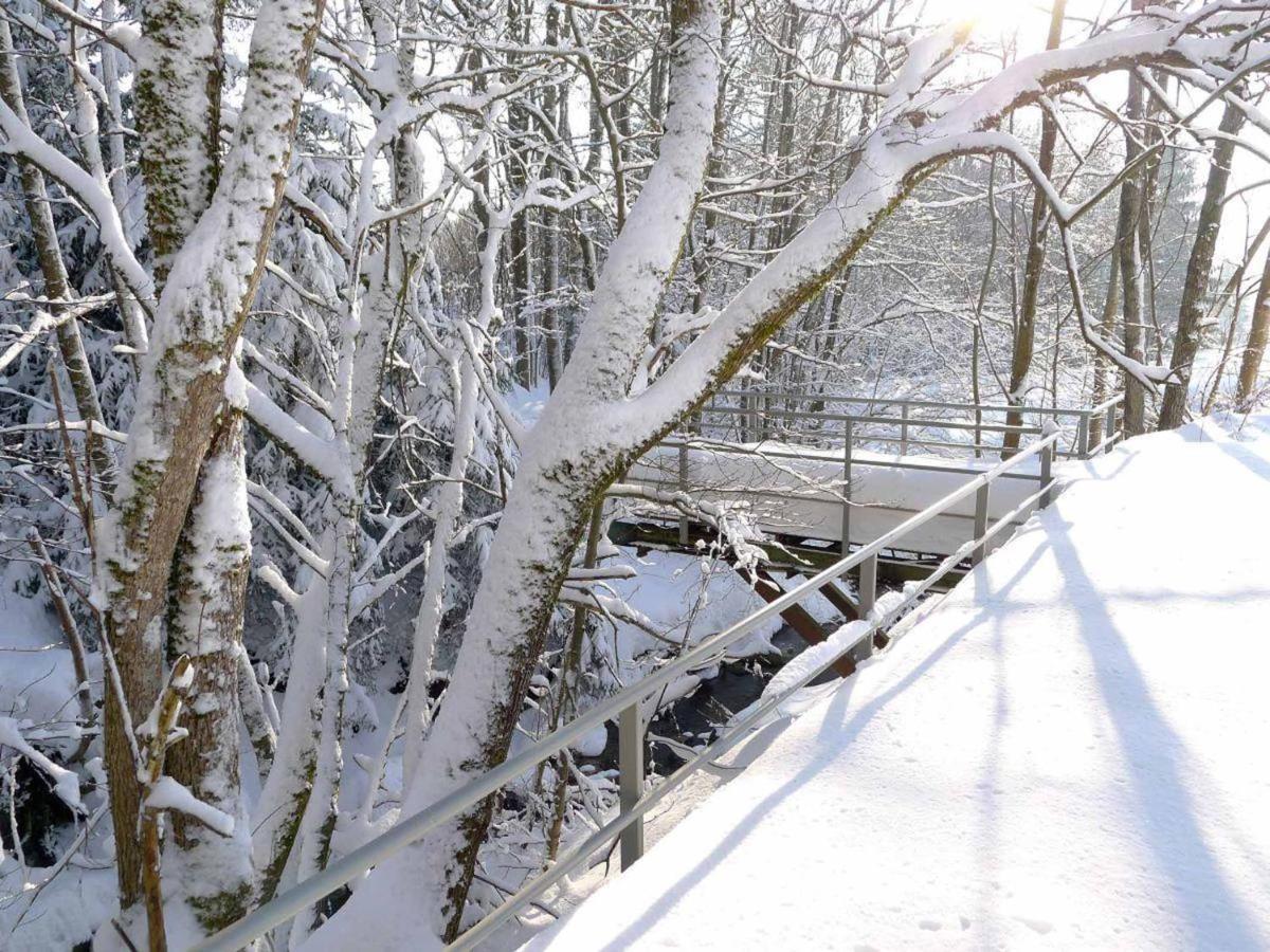 Ferienwohnungen Schoenbachtal Drachselsried Bagian luar foto
