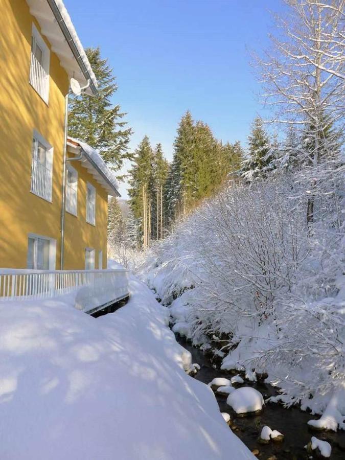 Ferienwohnungen Schoenbachtal Drachselsried Bagian luar foto