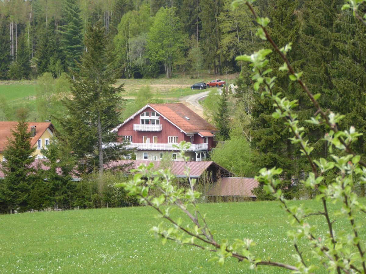 Ferienwohnungen Schoenbachtal Drachselsried Bagian luar foto